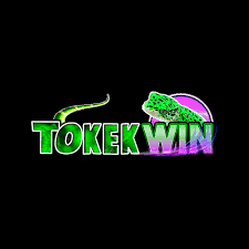 tokekwin - Arcade APK